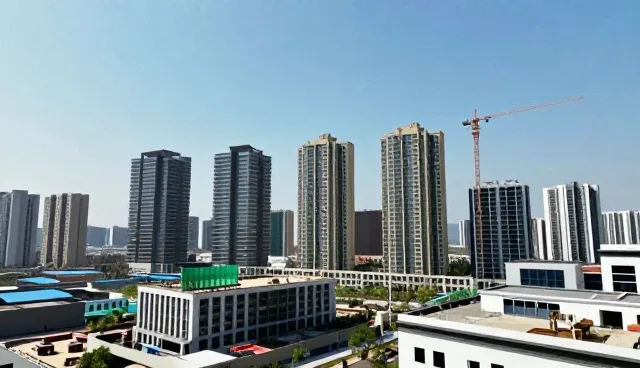 项目应用中常见问题及处理策略解析